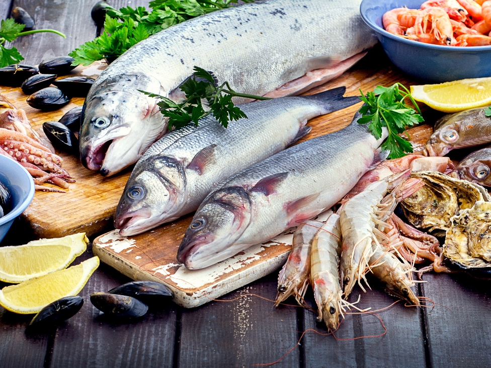 嘉豐海洋 產業新聞 | 高脂飲食＝傷身？醫解答：「1動物油脂」超健康 防糖尿病、心梗 資料來源：Yahoo News 三立新聞網 記者鄭玉如 報導