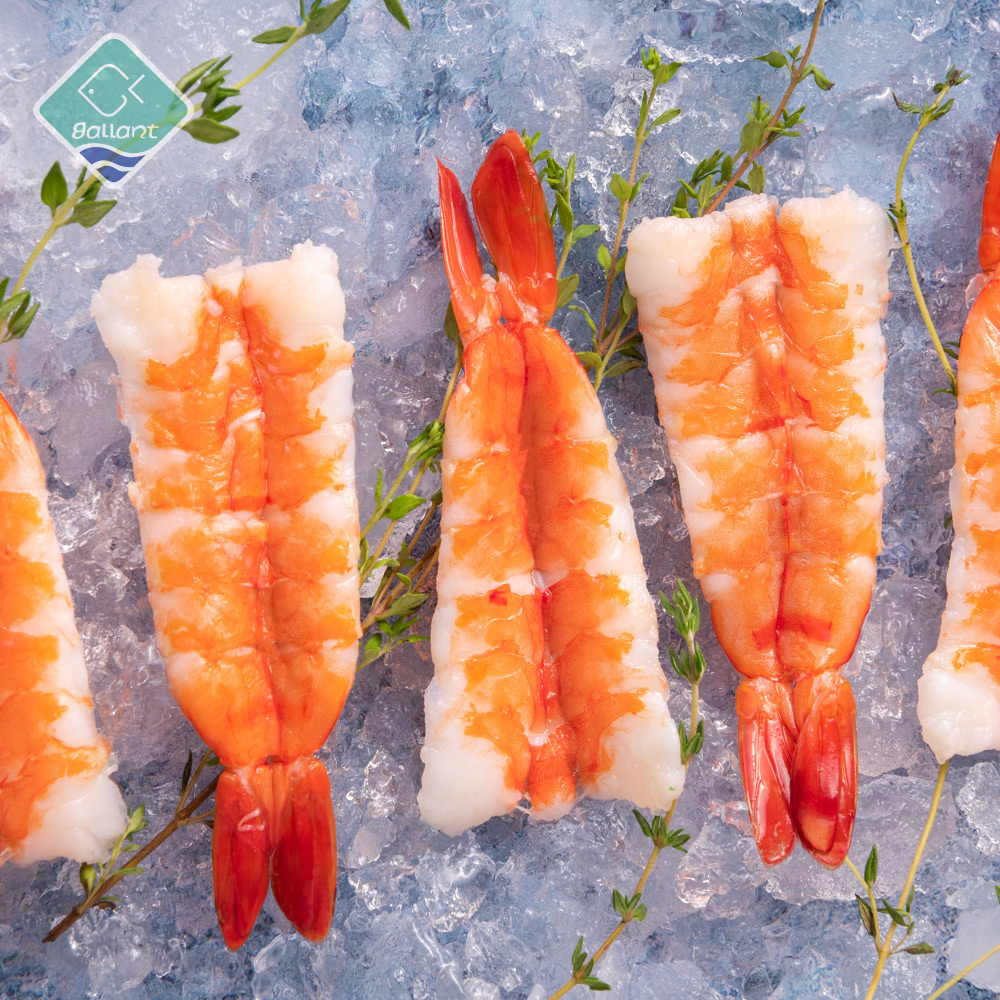 蝦類- 嘉豐海洋國際